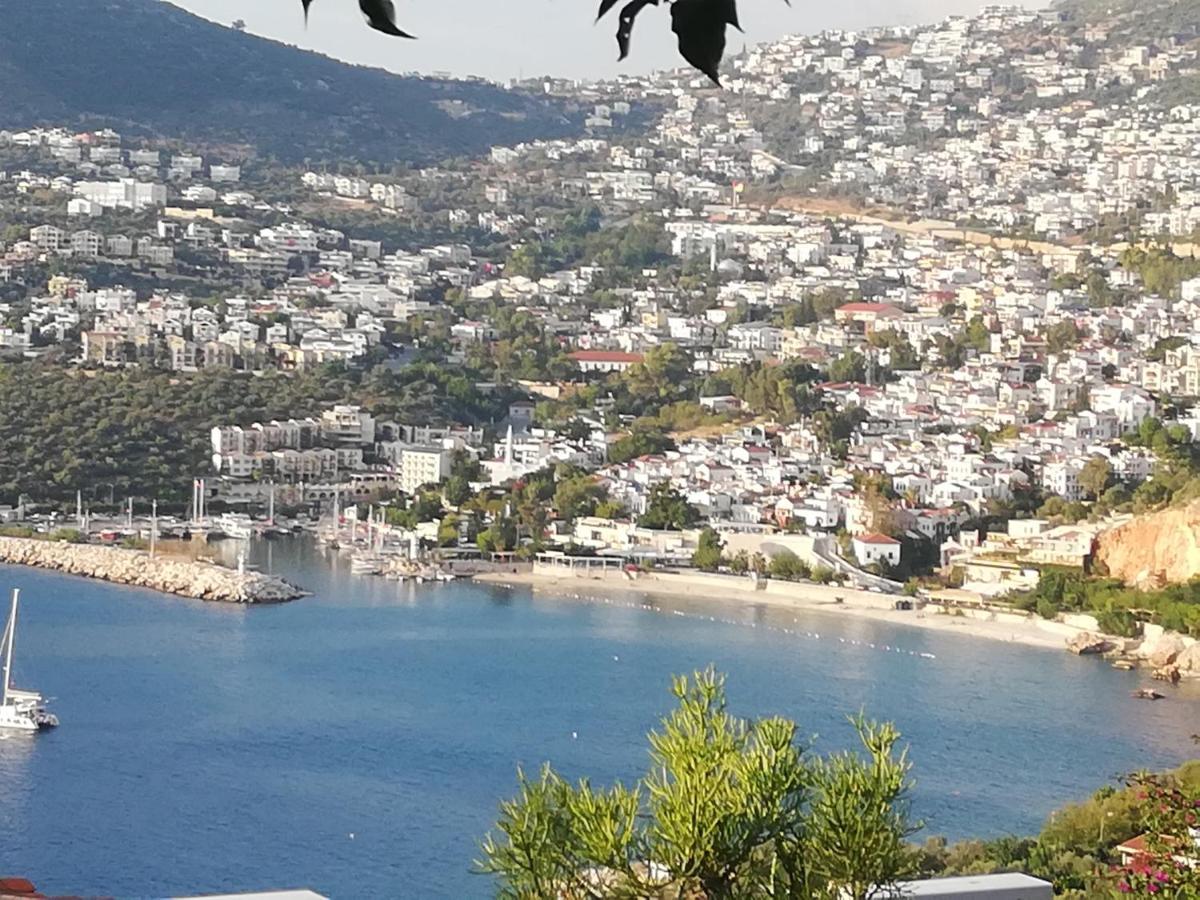 Sea View Bougainvillea 52 كالكان المظهر الخارجي الصورة