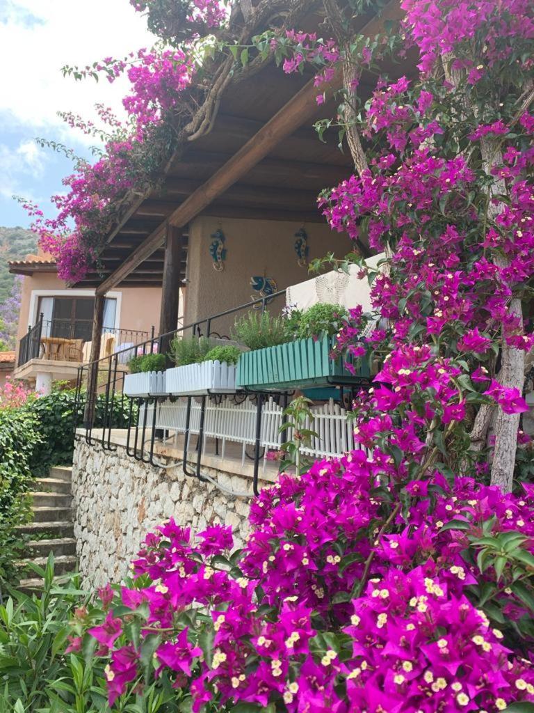 Sea View Bougainvillea 52 كالكان المظهر الخارجي الصورة